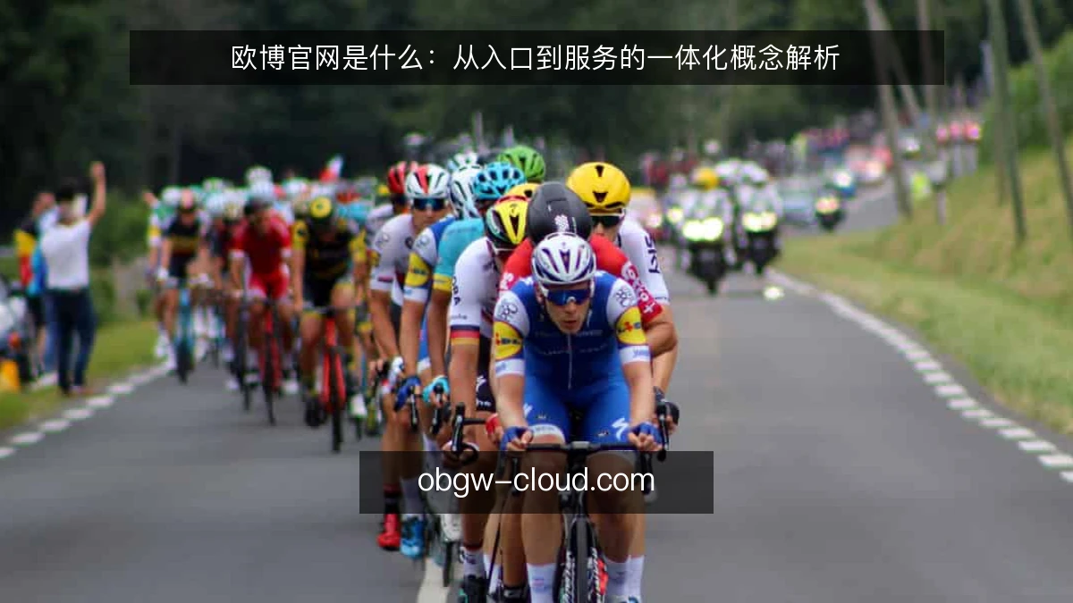 欧博官网是什么：从入口到服务的一体化概念解析