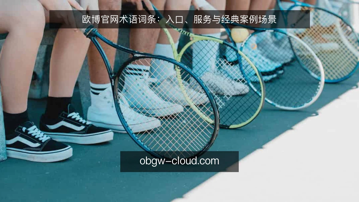 欧博官网术语词条:入口、服务与经典案例场景