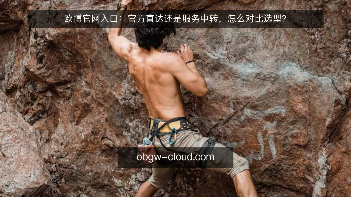欧博官网入口:官方直达还是服务中转,怎么对比选型?