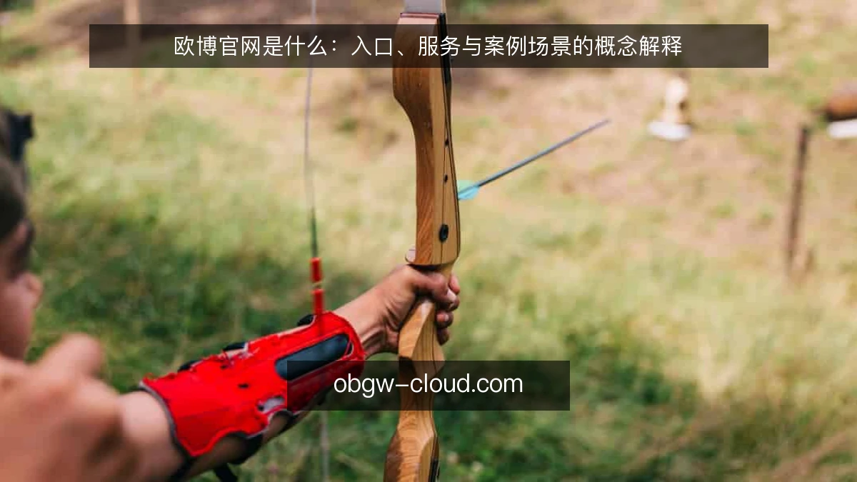 欧博官网是什么:入口、服务与案例场景的概念解释